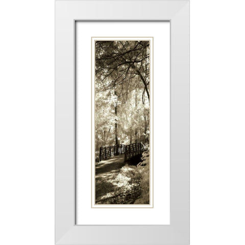 Summer Bridge Panel White Modern Wood Framed Art Print with Double Matting by Hausenflock, Alan