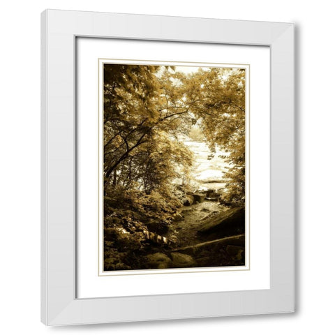 By the River Wide II White Modern Wood Framed Art Print with Double Matting by Hausenflock, Alan