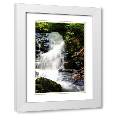 Deep Woods Waterfall I White Modern Wood Framed Art Print with Double Matting by Hausenflock, Alan
