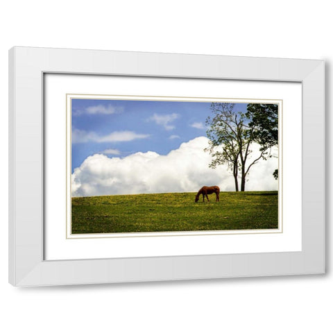 Horses in the Clouds II White Modern Wood Framed Art Print with Double Matting by Hausenflock, Alan