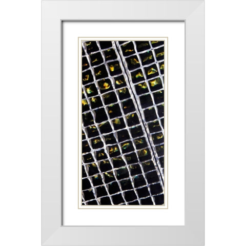 Rippled Steel White Modern Wood Framed Art Print with Double Matting by Hausenflock, Alan