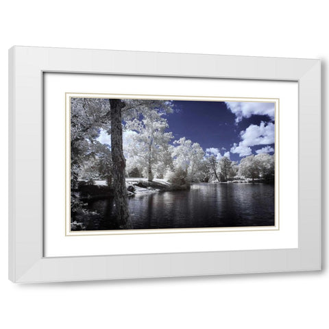 Walkerton Millpond II White Modern Wood Framed Art Print with Double Matting by Hausenflock, Alan