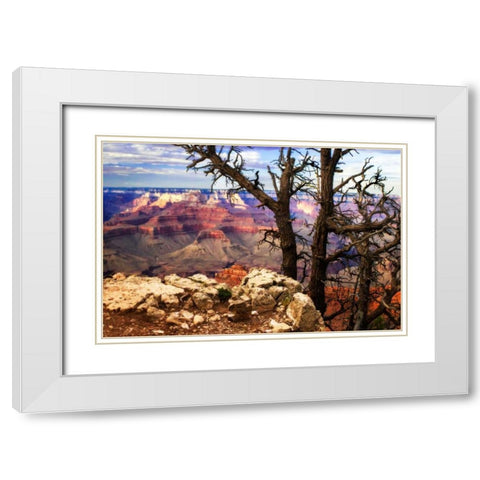 The Caynon IV White Modern Wood Framed Art Print with Double Matting by Hausenflock, Alan