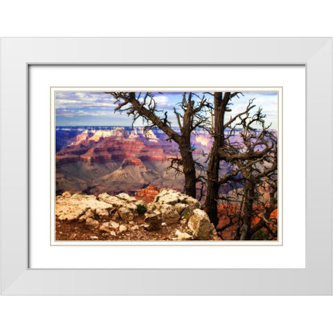 The Caynon IV White Modern Wood Framed Art Print with Double Matting by Hausenflock, Alan