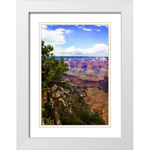 The Canyon Rim II White Modern Wood Framed Art Print with Double Matting by Hausenflock, Alan
