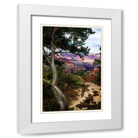 Eveing on the Rim II White Modern Wood Framed Art Print with Double Matting by Hausenflock, Alan