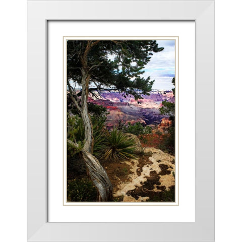 Eveing on the Rim II White Modern Wood Framed Art Print with Double Matting by Hausenflock, Alan
