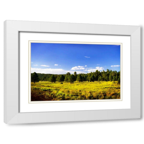 Big Sky Ranch II White Modern Wood Framed Art Print with Double Matting by Hausenflock, Alan