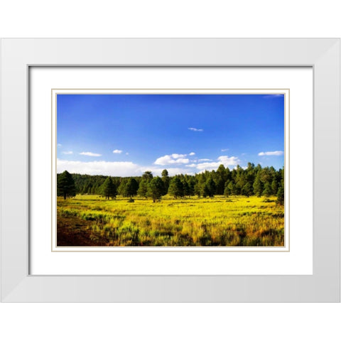 Big Sky Ranch II White Modern Wood Framed Art Print with Double Matting by Hausenflock, Alan