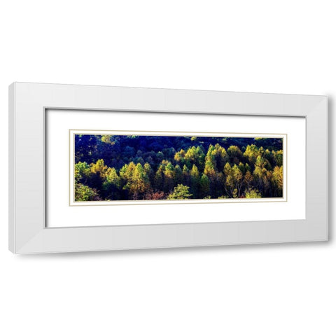 Autumn Ridge I White Modern Wood Framed Art Print with Double Matting by Hausenflock, Alan