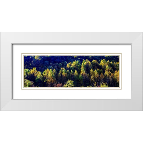 Autumn Ridge I White Modern Wood Framed Art Print with Double Matting by Hausenflock, Alan