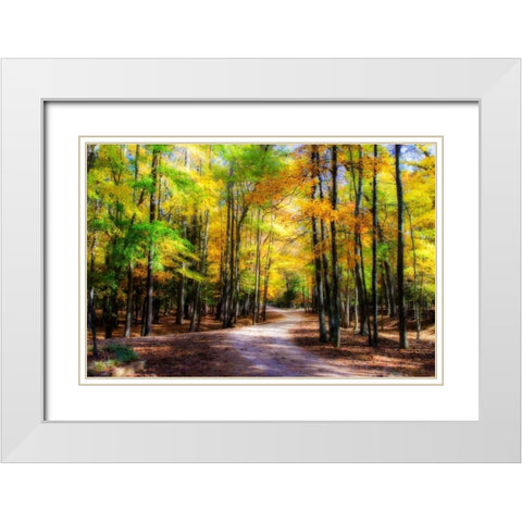 Goose Pond Lane II White Modern Wood Framed Art Print with Double Matting by Hausenflock, Alan
