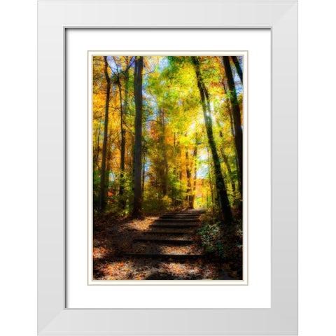 Autumn Light I White Modern Wood Framed Art Print with Double Matting by Hausenflock, Alan