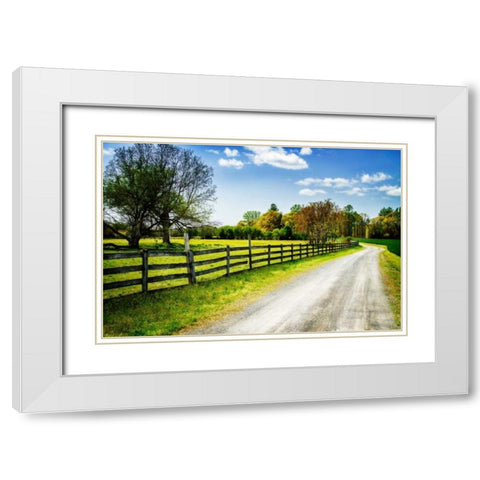 Spring on the Farm I White Modern Wood Framed Art Print with Double Matting by Hausenflock, Alan