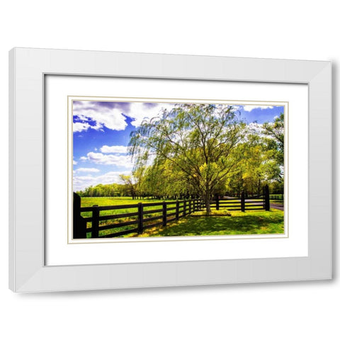 Spring on the Farm II White Modern Wood Framed Art Print with Double Matting by Hausenflock, Alan