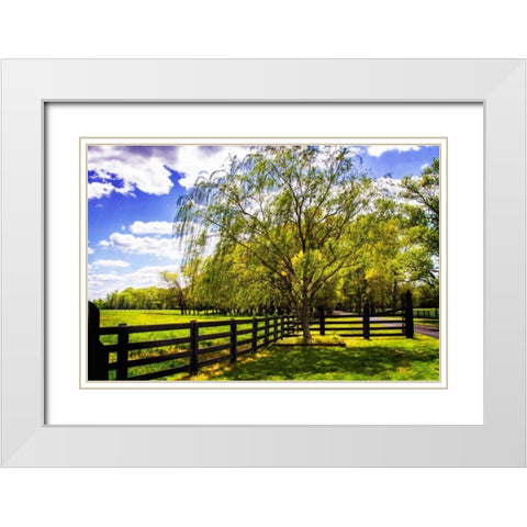 Spring on the Farm II White Modern Wood Framed Art Print with Double Matting by Hausenflock, Alan