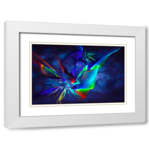 Frenzy II White Modern Wood Framed Art Print with Double Matting by Hausenflock, Alan