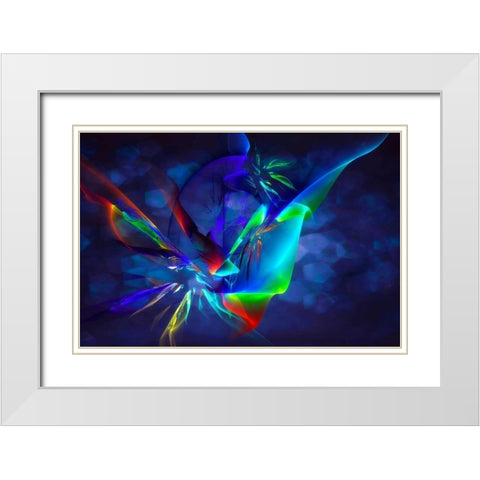 Frenzy II White Modern Wood Framed Art Print with Double Matting by Hausenflock, Alan