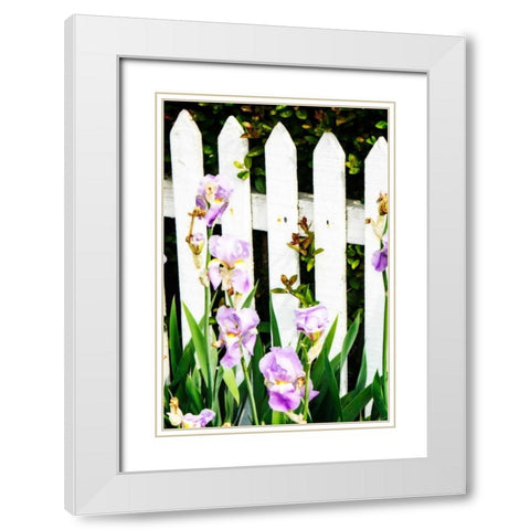Iris on a Fence White Modern Wood Framed Art Print with Double Matting by Hausenflock, Alan