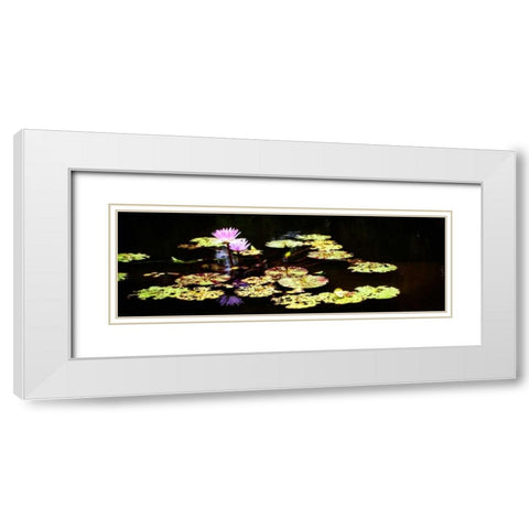 Lake Lilies I White Modern Wood Framed Art Print with Double Matting by Hausenflock, Alan