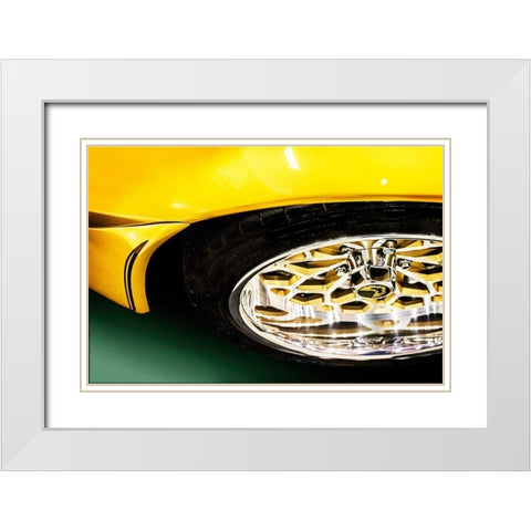 Firebird White Modern Wood Framed Art Print with Double Matting by Hausenflock, Alan