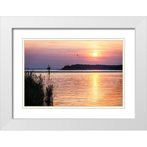 Ospreys at Sunset White Modern Wood Framed Art Print with Double Matting by Hausenflock, Alan