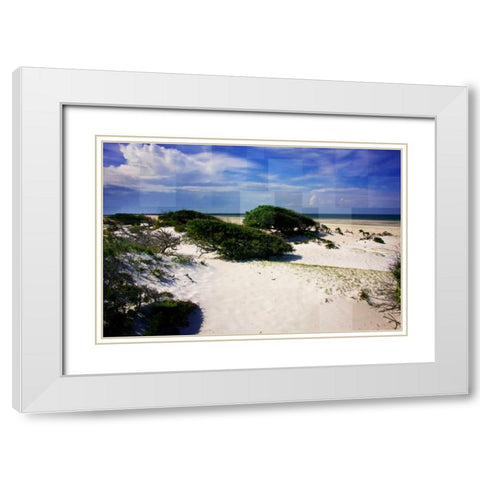 Windswept Beach White Modern Wood Framed Art Print with Double Matting by Hausenflock, Alan