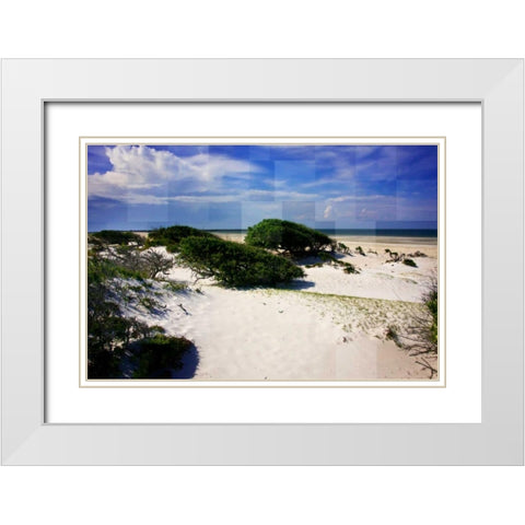 Windswept Beach White Modern Wood Framed Art Print with Double Matting by Hausenflock, Alan