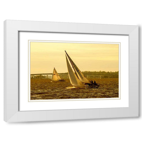 Severn River Sailing II White Modern Wood Framed Art Print with Double Matting by Hausenflock, Alan