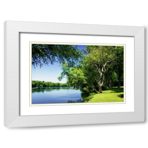 Spring On The River V White Modern Wood Framed Art Print with Double Matting by Hausenflock, Alan
