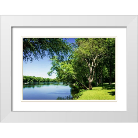 Spring On The River V White Modern Wood Framed Art Print with Double Matting by Hausenflock, Alan