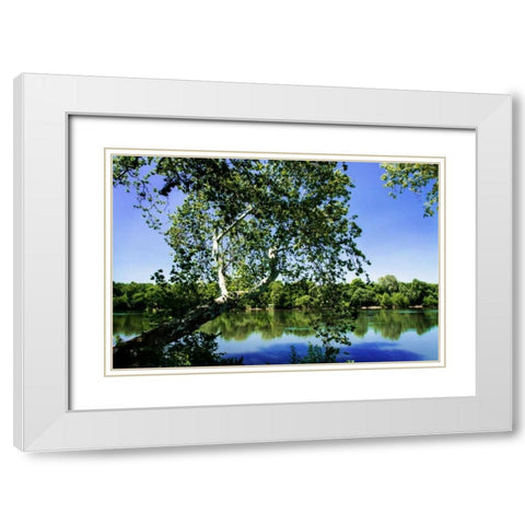 Spring On The River VI White Modern Wood Framed Art Print with Double Matting by Hausenflock, Alan