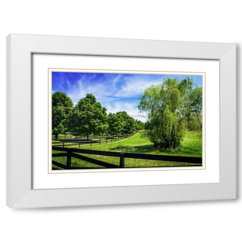 Green Springs Farm II White Modern Wood Framed Art Print with Double Matting by Hausenflock, Alan