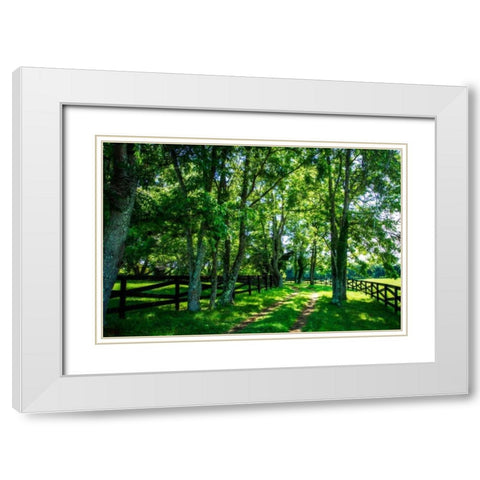 Green Springs Farm III White Modern Wood Framed Art Print with Double Matting by Hausenflock, Alan