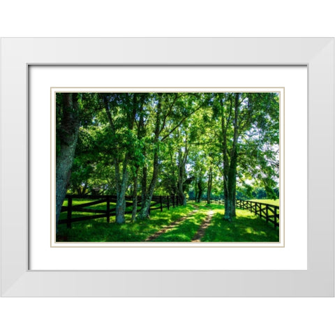 Green Springs Farm III White Modern Wood Framed Art Print with Double Matting by Hausenflock, Alan