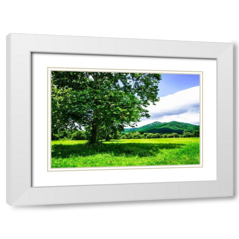 Rappahannock County II White Modern Wood Framed Art Print with Double Matting by Hausenflock, Alan