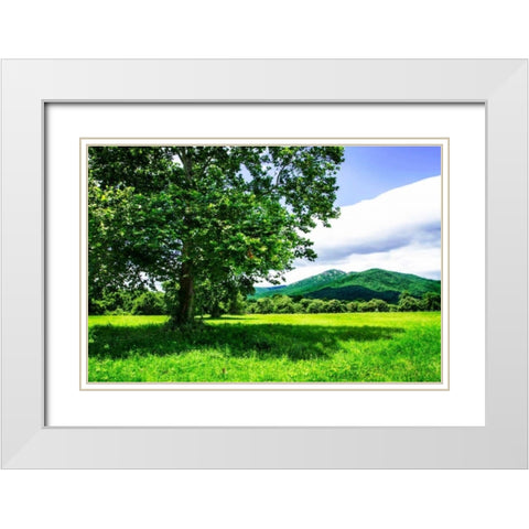 Rappahannock County II White Modern Wood Framed Art Print with Double Matting by Hausenflock, Alan