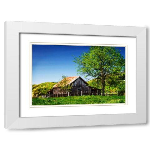 Old Backyard Barn White Modern Wood Framed Art Print with Double Matting by Hausenflock, Alan