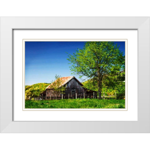 Old Backyard Barn White Modern Wood Framed Art Print with Double Matting by Hausenflock, Alan