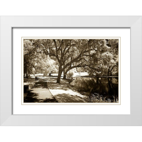 Walkers Pond I White Modern Wood Framed Art Print with Double Matting by Hausenflock, Alan
