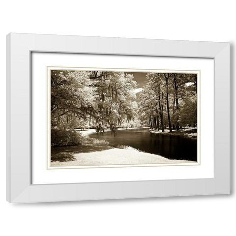 Pines Along The Stream White Modern Wood Framed Art Print with Double Matting by Hausenflock, Alan