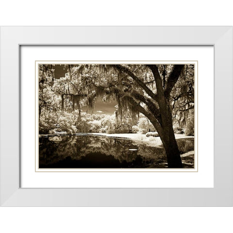 Walkers Pond II White Modern Wood Framed Art Print with Double Matting by Hausenflock, Alan