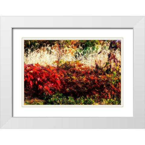Color Of Fall I White Modern Wood Framed Art Print with Double Matting by Hausenflock, Alan