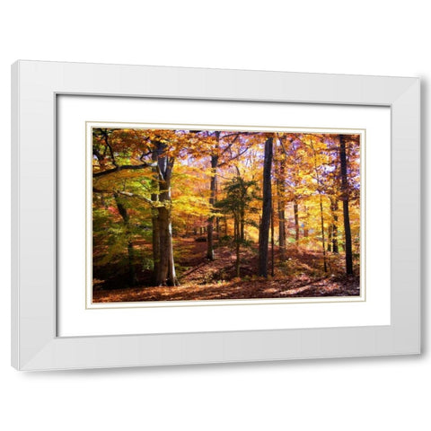 Hanover Forest II White Modern Wood Framed Art Print with Double Matting by Hausenflock, Alan