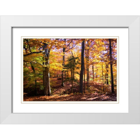 Hanover Forest II White Modern Wood Framed Art Print with Double Matting by Hausenflock, Alan