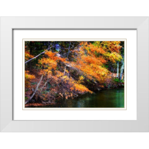 Color Of Fall III White Modern Wood Framed Art Print with Double Matting by Hausenflock, Alan