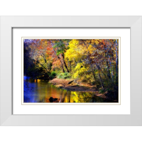 Color Of Fall IV White Modern Wood Framed Art Print with Double Matting by Hausenflock, Alan