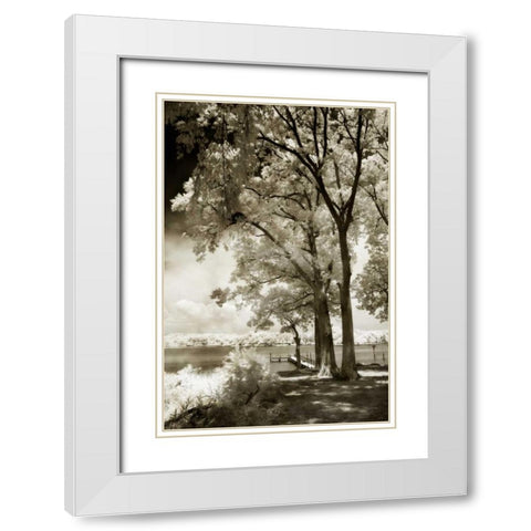 Cobb Island III White Modern Wood Framed Art Print with Double Matting by Hausenflock, Alan