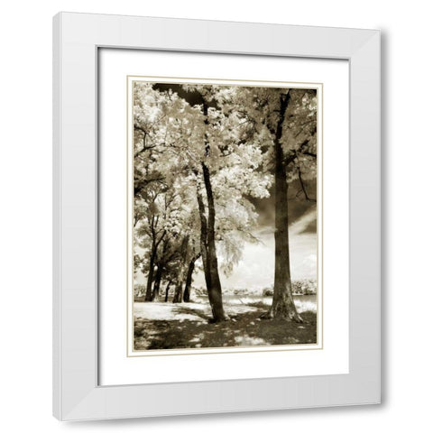 Cobb Island IV White Modern Wood Framed Art Print with Double Matting by Hausenflock, Alan