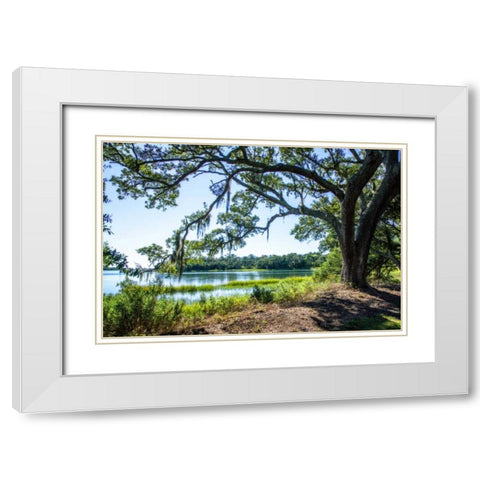 Bradley Creek II White Modern Wood Framed Art Print with Double Matting by Hausenflock, Alan
